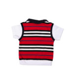 Premium Cotton Collar T-Shirt with Comfy Shorts - Image 7